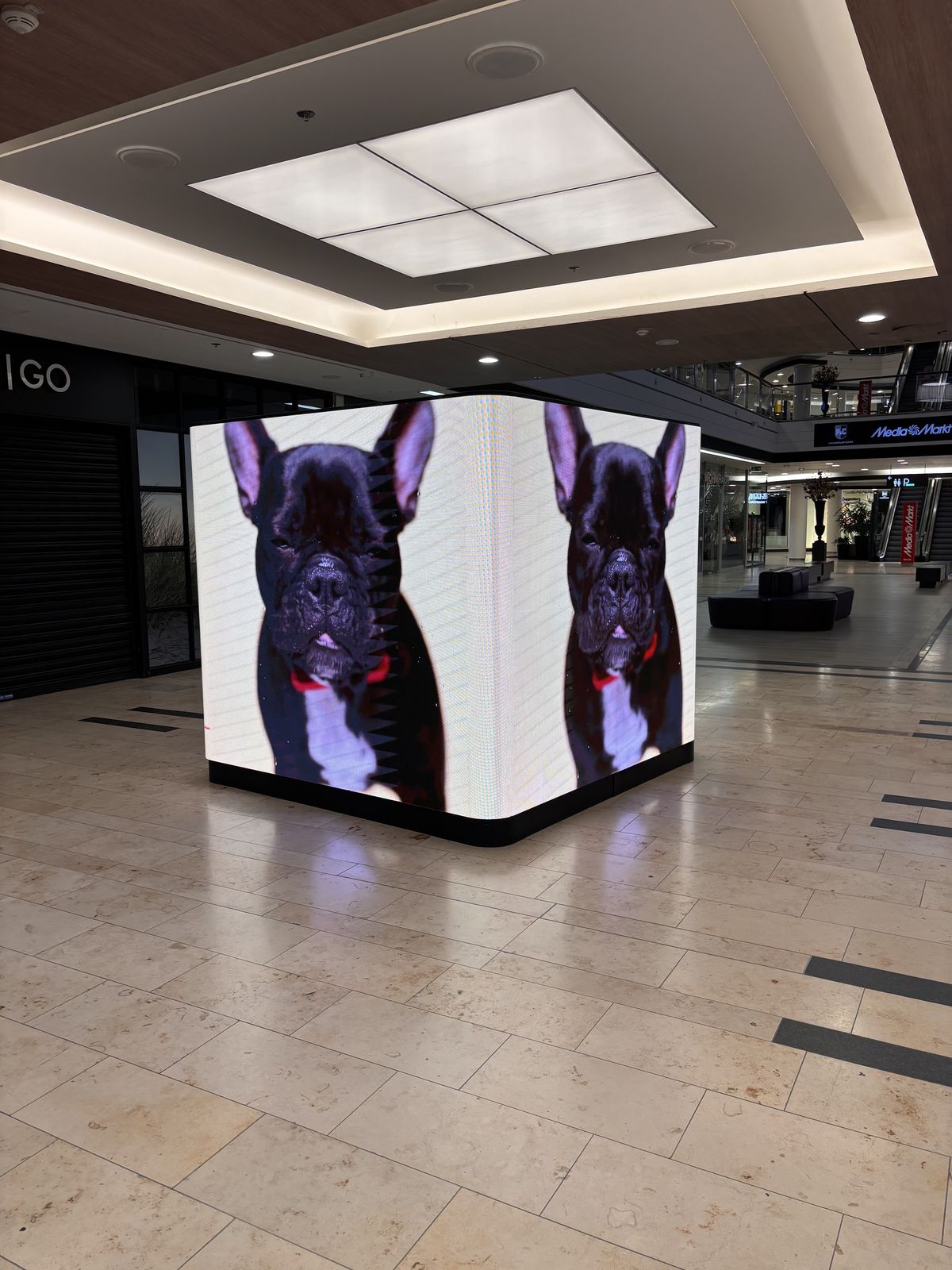 LED-Cube von Innlights, regelmäßig gewartet und an neue Standorte überführt von Aulista